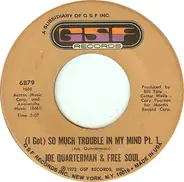 Sir Joe Quarterman & Free Soul - (I Got) So Much Trouble In My Mind