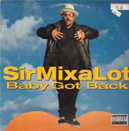 Sir Mix-A-Lot - Baby Got Back