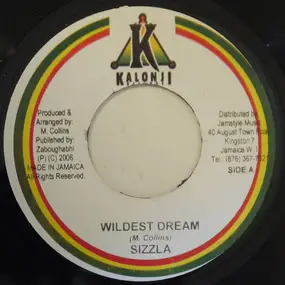 Sizzla - Wildest Dream