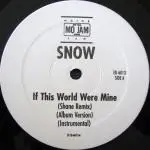 Snow - If This World Were Mine / Mash Up Da Nation