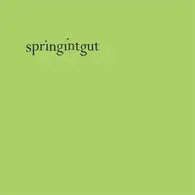 Springintgut - Springintgut