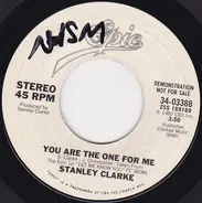 Stanley Clarke - You Are The One For Me