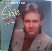 Steve Wariner - What I Didn't Do