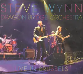 Steve Wynn - Live In Brussels