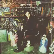 Steve Wynn - What I Did After My Band Broke Up (Best Of 1990-2004) / Visitation Rights