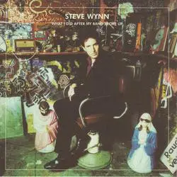 Steve Wynn - What I Did After My Band Broke Up (Best Of 1990-2004) / Visitation Rights