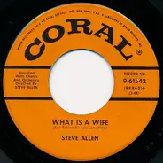 Steve Allen - What Is A Wife / Memories Of You