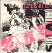 Steve Allen - Love Is In The Air