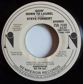 Steve Forbert - Goin' Down To Laurel