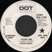 Steve Diggs - Flight 408