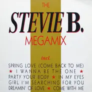 Stevie B - The Stevie B. Megamix