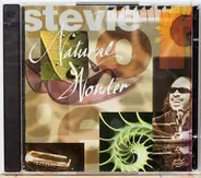 Stevie Wonder - Natural Wonder - Live In Concert