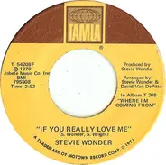 Stevie Wonder - If You Really Love Me