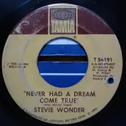 Stevie Wonder - Never Had A Dream Come True