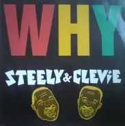 Steely & Clevie Feat. Suzanne Couch - Why