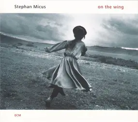 Stephan Micus - On the Wing
