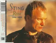 Sting Featuring Cheb Mami - Desert Rose