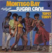 Sugar Cane - Montego Bay