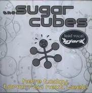 Sugarcubes - Here Today Tomorrow Next Week