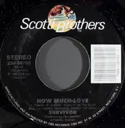 Survivor - How much love