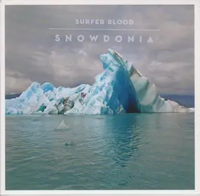 surfer blood - Snowdonia