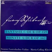 Schubert - Fantasie Op. 159 / Sonate Op. 162