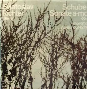 Franz Schubert - Sonate a-moll op.42