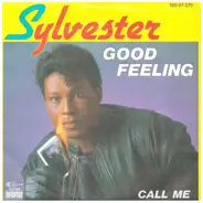 Sylvester - Good Feeling